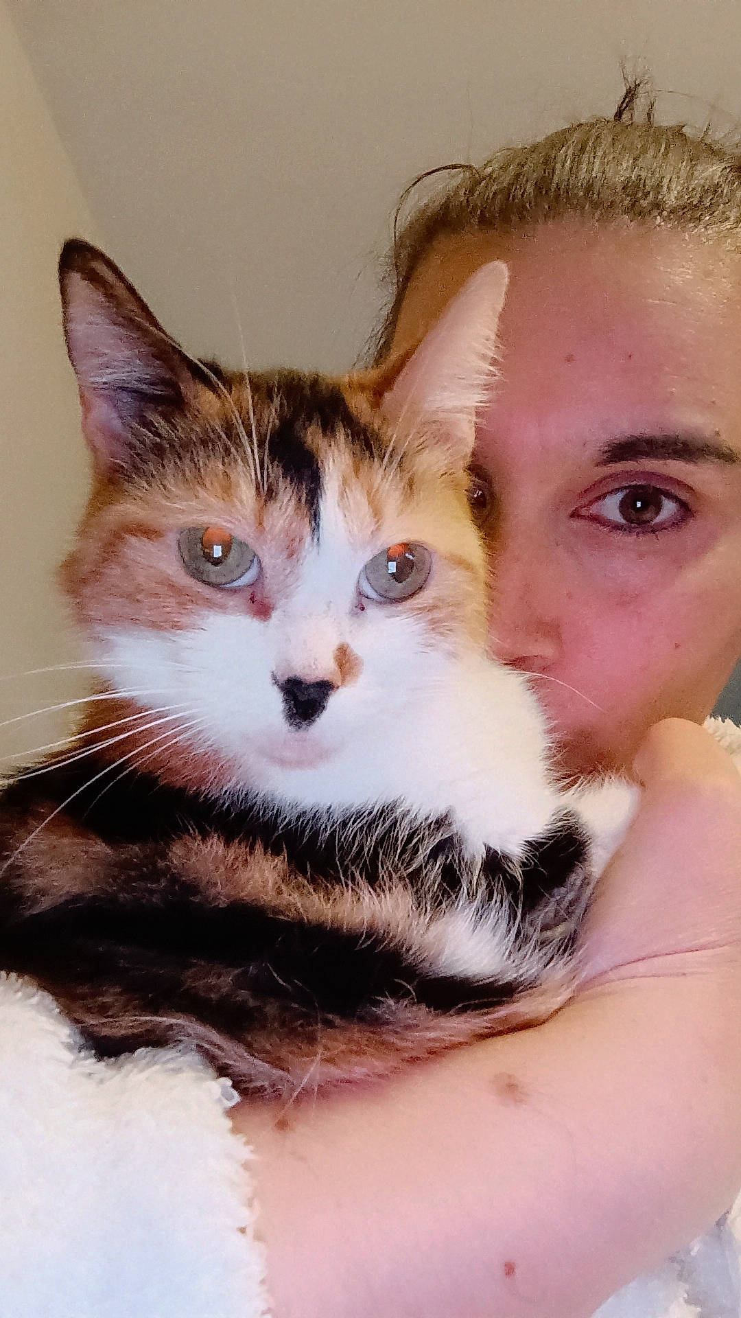 Caline participe au concours pour gagner de l'argent avec cette photo : carnivore, cat, close_up, domestic_short_haired_cat, ear, eye, eyebrow, eyelash, fawn, felidae, fur, gesture, hair, head, human_body, leg, nose, small_to_medium_sized_cats, snout, whiskers