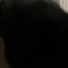 abstract, background, black, blur, cat, close_up, feline, fur, grainy, head, indoor, macro, mystery, out_of_focus, pet, shadow, silhouette, soft, texture, wall