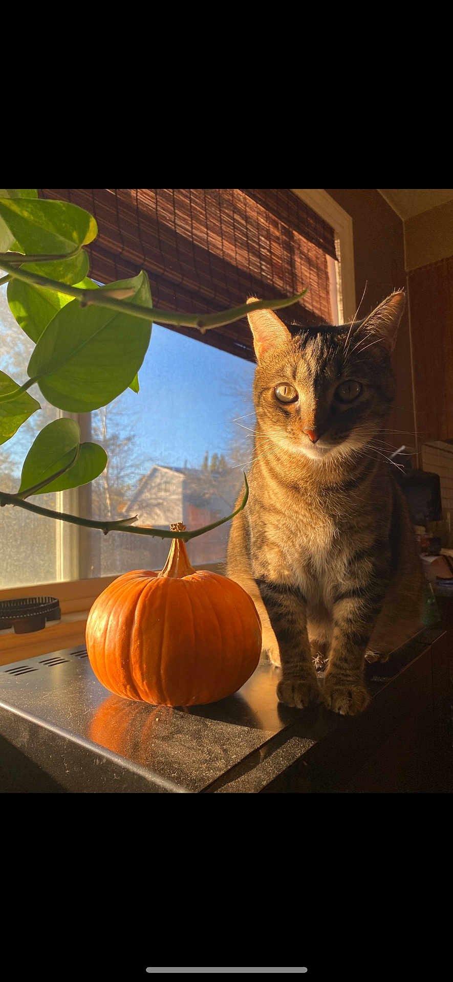 Ella
