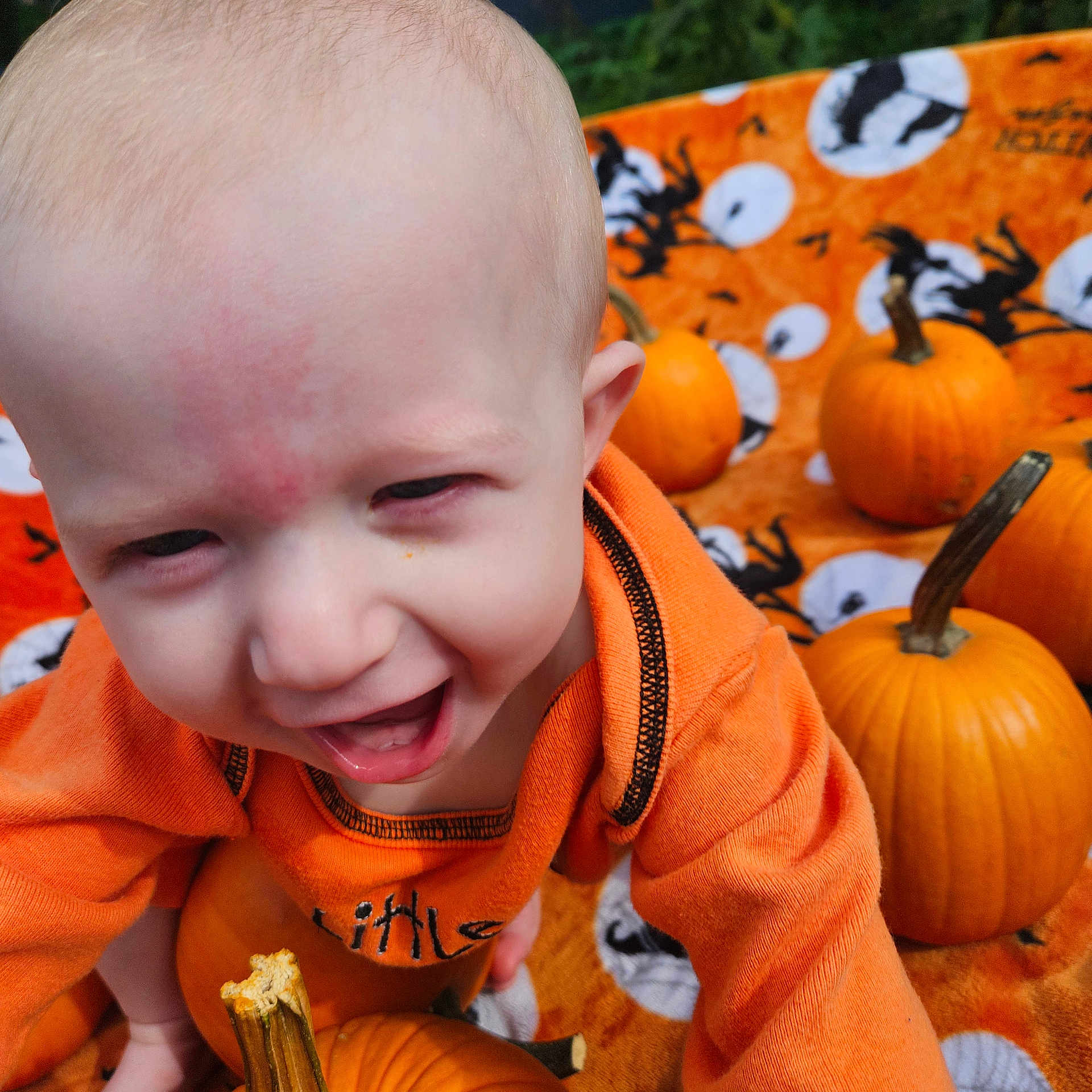 David joined the competition — help win amazing prizes! baby, child, pumpkin, orange_clothing, blanket, halloween, autumn, outdoor, smiling, cute, festive, fall, playful, person, head, face, hand, small_pumpkins, seasonal, holiday