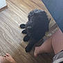 dog, black_dog, floor, wooden_floor, legs, barefoot, shorts, indoor, pet, animal, curious, looking_up, furry, companionship, home, casual, relaxed, person, paw, seat