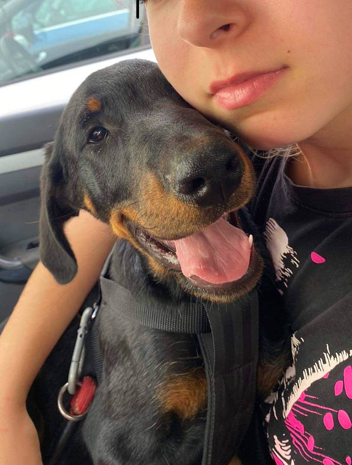 Trevor participe au concours pour gagner de l'argent avec cette photo : carnivore, collar, companion_dog, dog, dog_breed, dog_collar, ear, fawn, fur, gesture, giant_dog_breed, guard_dog, happy, hound, snout, sporting_group, vehicle, vehicle_door, whiskers, working_animal