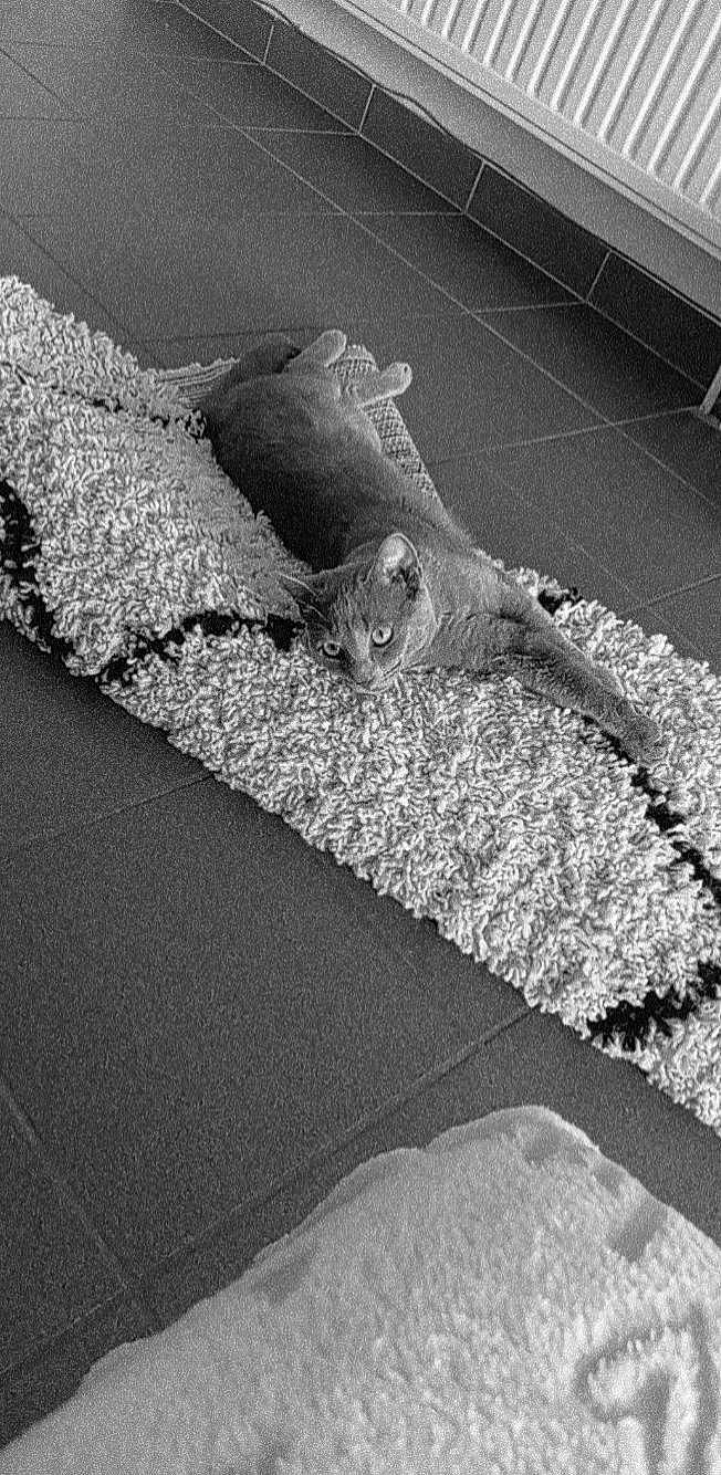 Smoothye a rejoint le concours — aidez-le/la à gagner de superbes lots ! art, asphalt, automotive_tire, black, black_and_white, concrete, flooring, grass, grey, landscape, line, monochrome, monochrome_photography, pattern, road, road_surface, sidewalk, style, tar, tints_and_shades