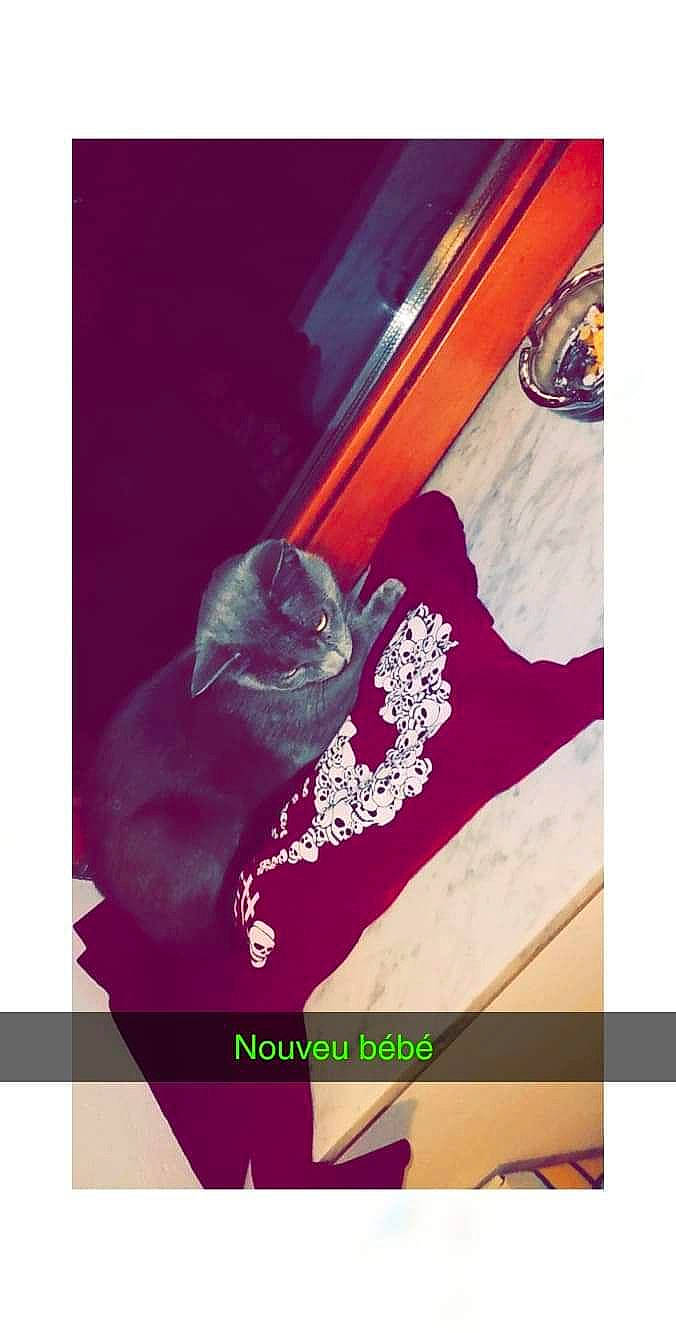 Smoothye participe au concours pour gagner de l'argent avec cette photo : art, brand, carmine, electric_blue, fashion_accessory, font, magenta, pattern, peach, petal, plant, purple, textile, tints_and_shades, vehicle_door, violet, visual_arts