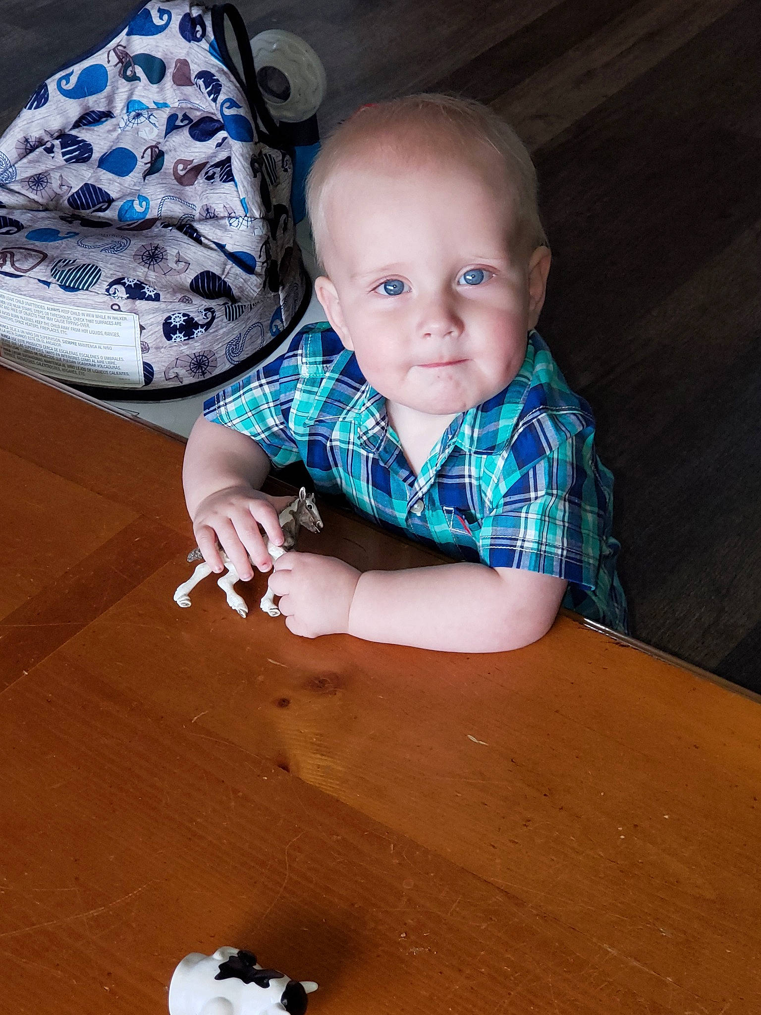 Gauge joined the competition — help win amazing prizes! baby, cheek, child, floor, flooring, leg, person, play, sitting, skin, smile, toddler, wood