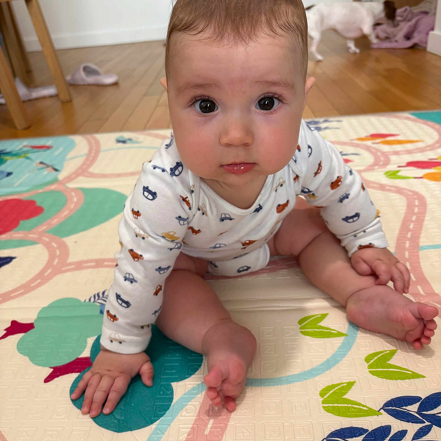 Gabriel participe au concours pour gagner de l'argent avec cette photo : baby, child, colorful, curious, cute, dog, expression, face, floor, foot, hand, indoor, infant, long_sleeve, pajamas, patterned, pet, play_mat, room, wooden_floor