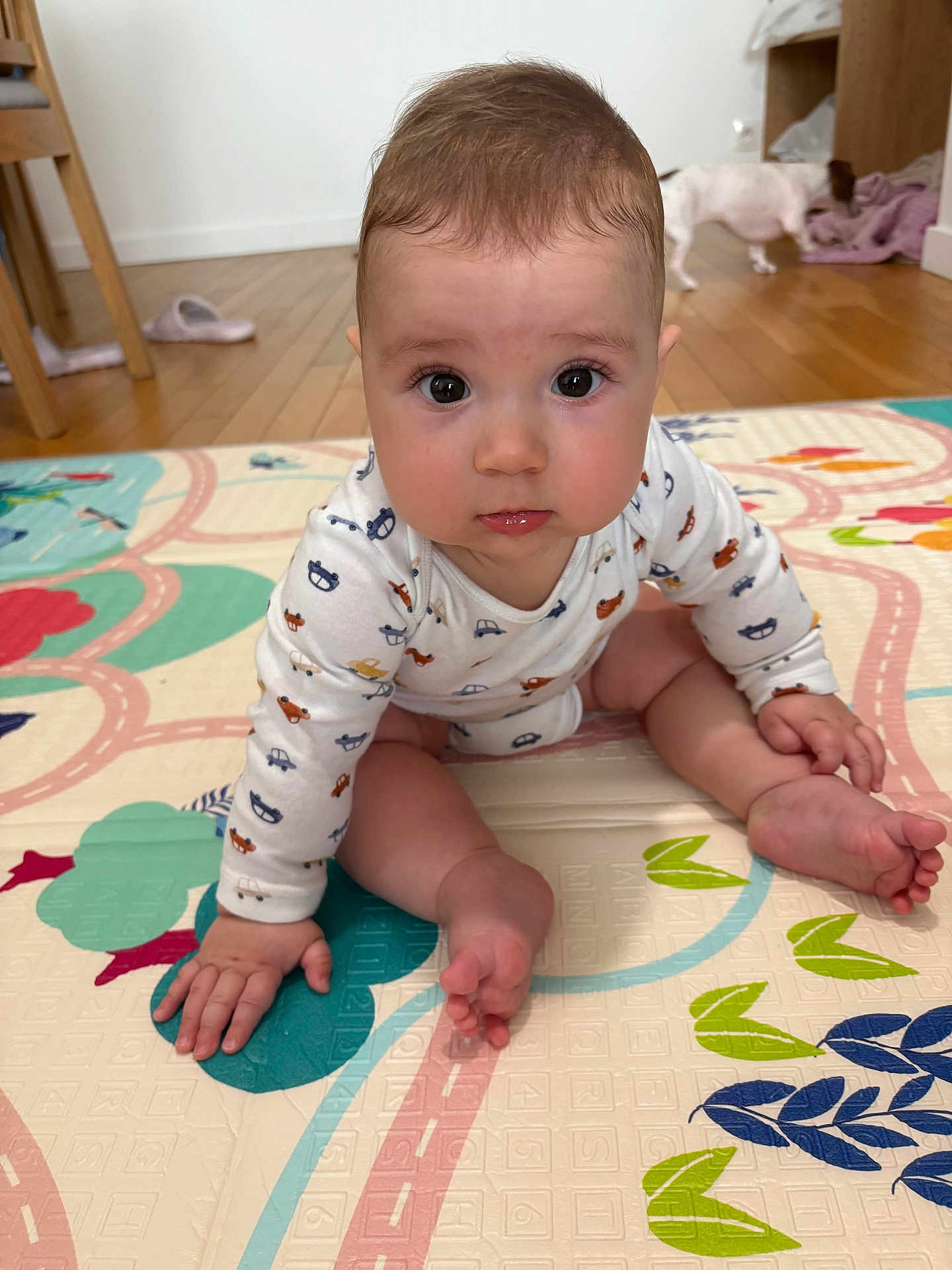 Gabriel participe au concours pour gagner de l'argent avec cette photo : baby, child, infant, play_mat, floor, wooden_floor, dog, pet, indoor, cute, curious, pajamas, long_sleeve, colorful, patterned, hand, foot, face, expression, room