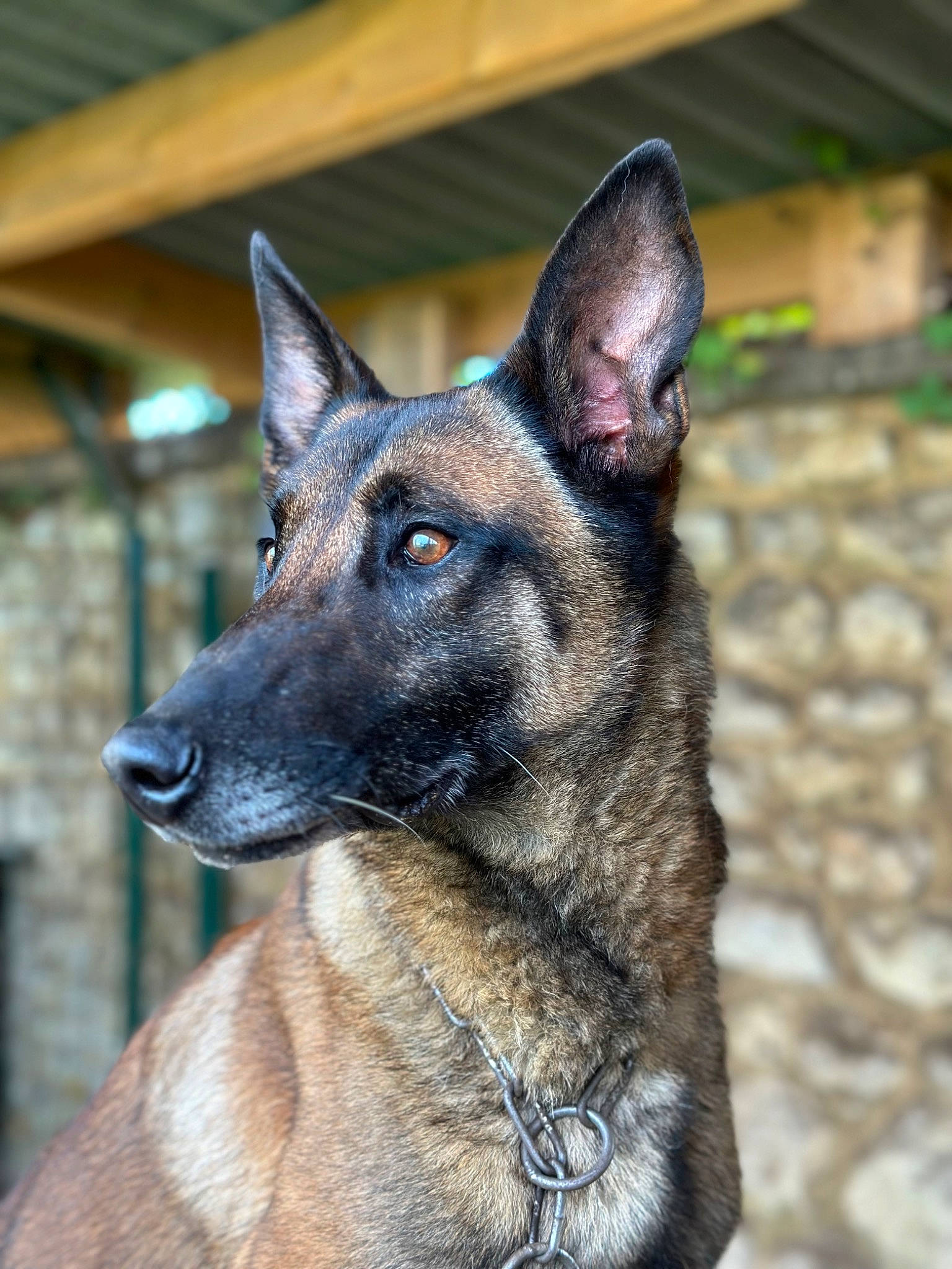 Ruko