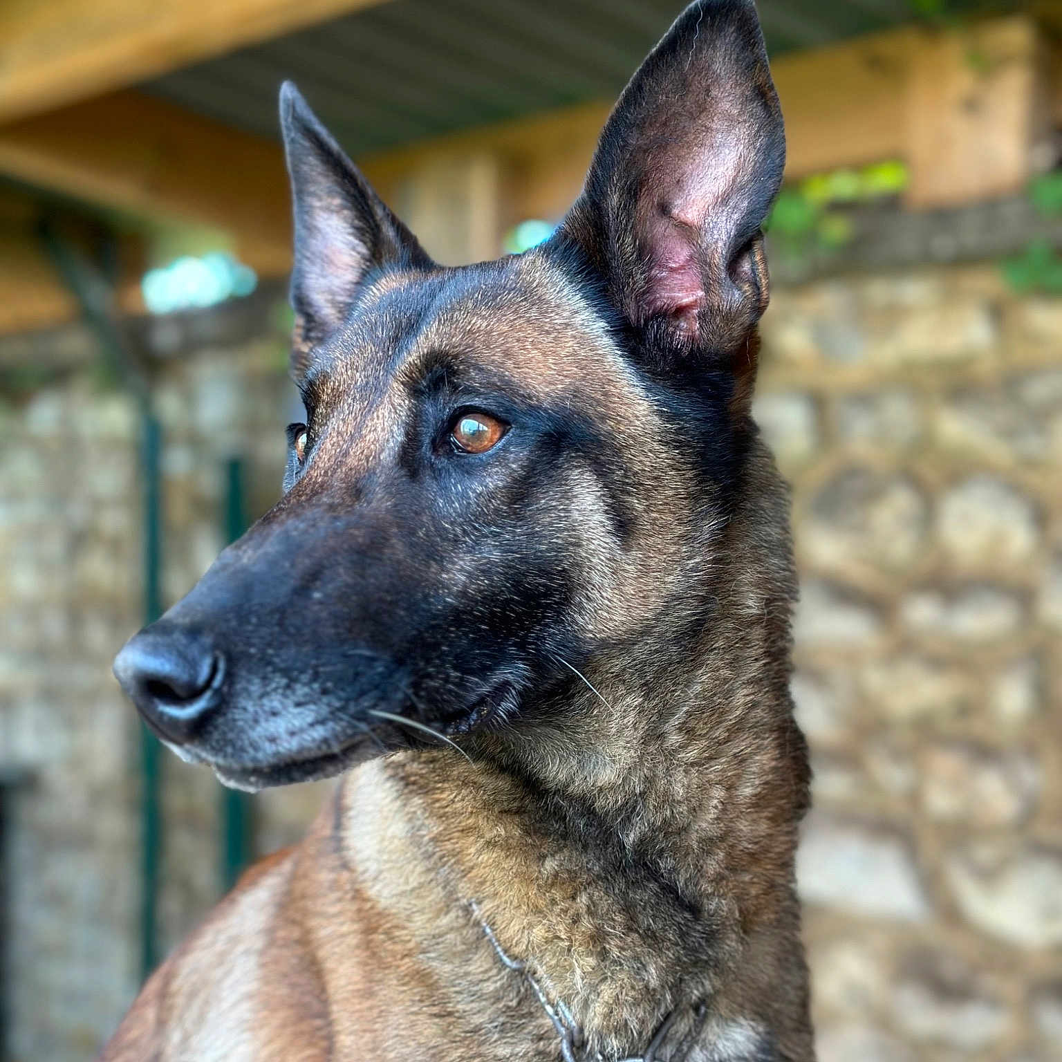 Ruko