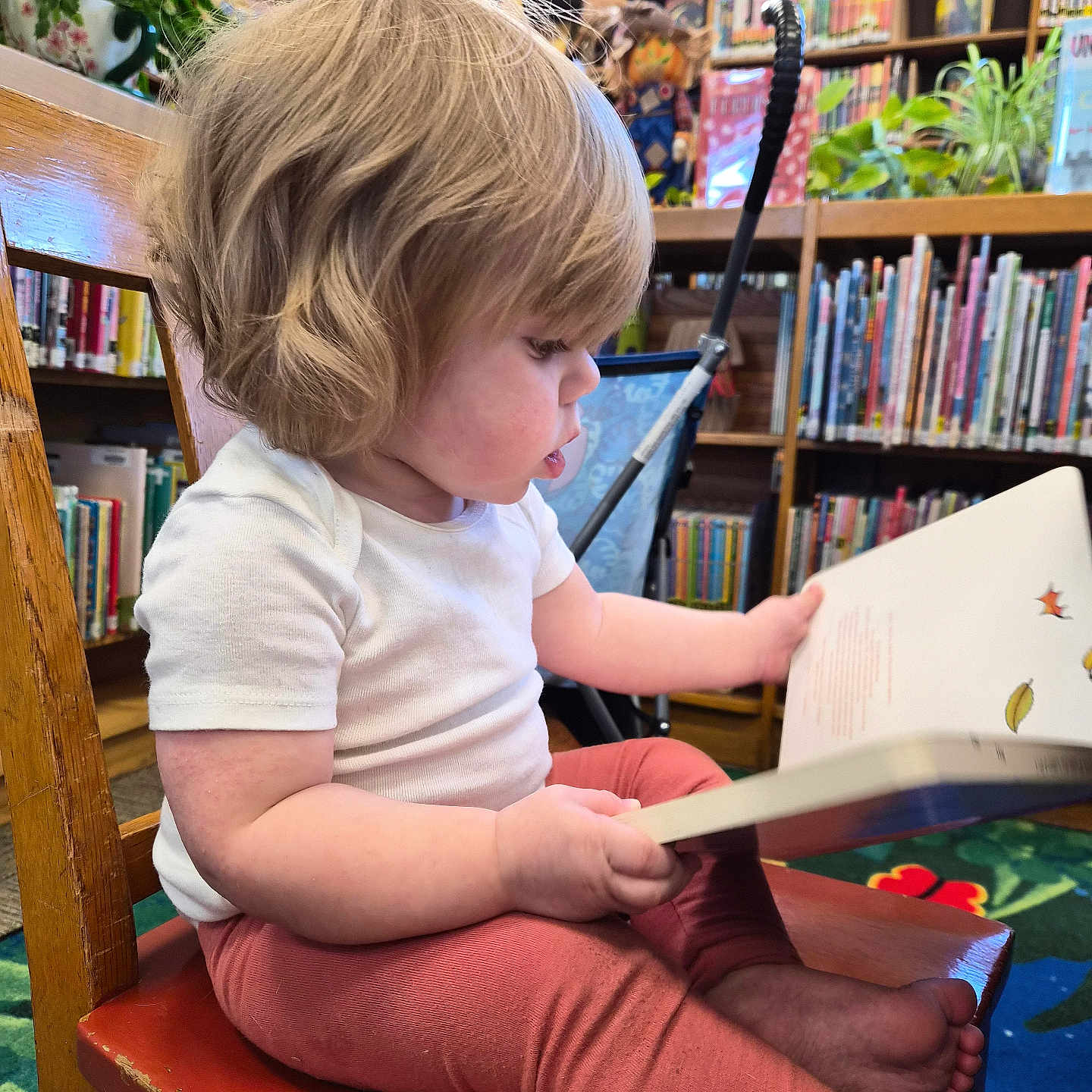 Caroline is registered to the contest to win money with this photo: child, toddler, reading, book, picture_book, library, bookshelf, indoor, seated, chair, blond_hair, profile, white_shirt, pink_pants, barefoot, plants, wooden_furniture, colorful_books, focused, portrait