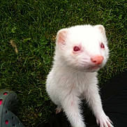 Lola a rejoint le concours — aidez-le/la à gagner de superbes lots !