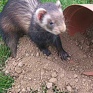 Athéna participe au concours pour gagner de l'argent avec cette photo :