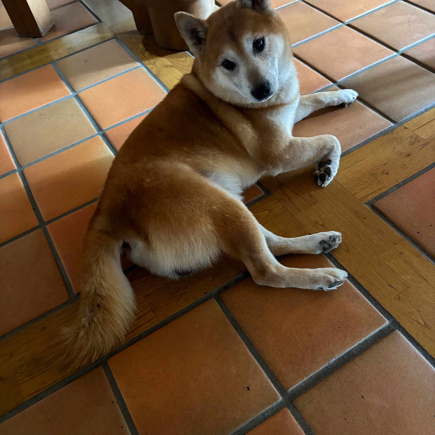 Ryo