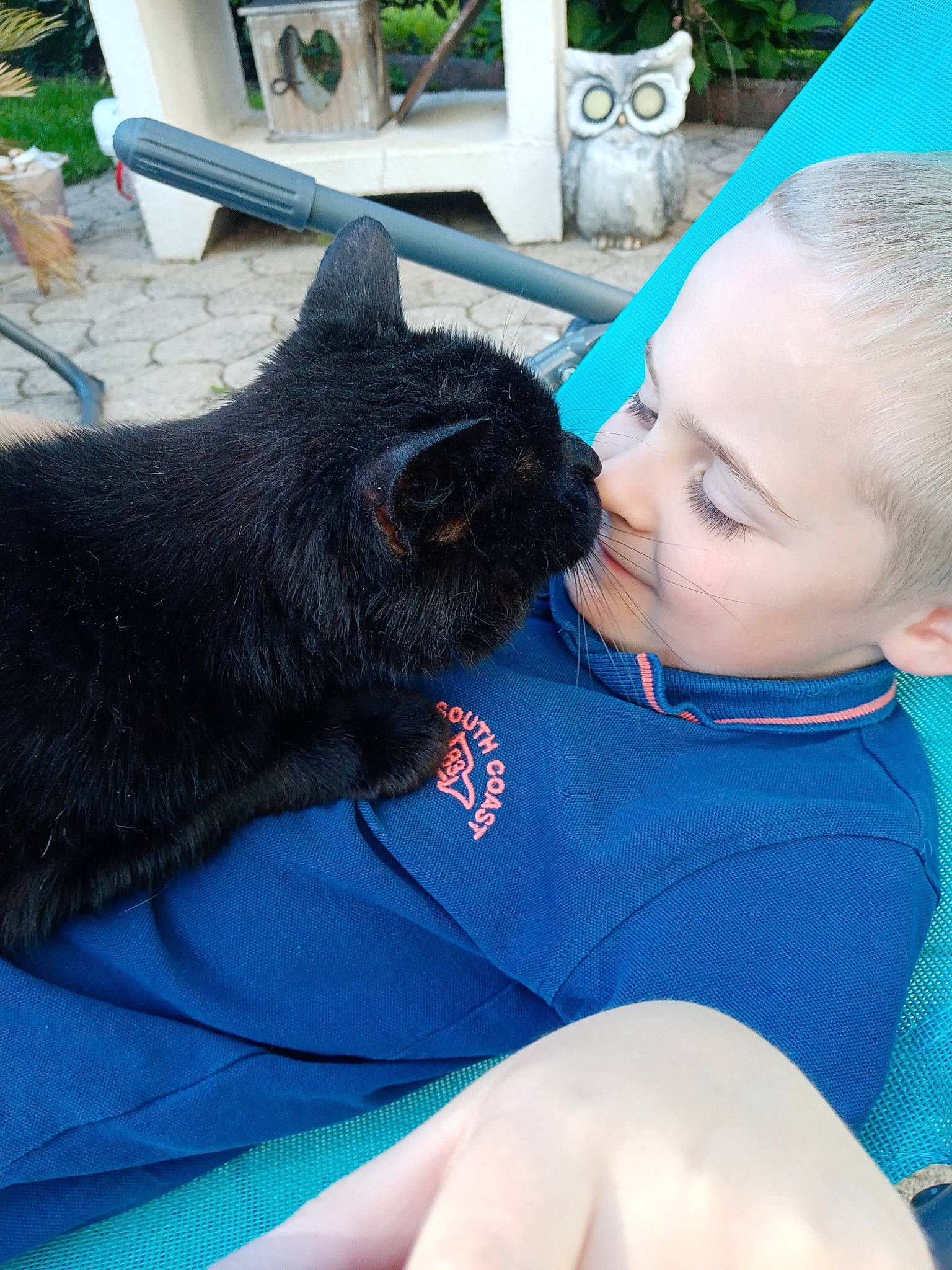 Mickey a rejoint le concours — aidez-le/la à gagner de superbes lots ! blue, cat, comfort, companion_dog, dog_breed, domestic_short_haired_cat, electric_blue, felidae, fur, grass, happy, interaction, lap, sitting, skin, small_to_medium_sized_cats, t_shirt, terrestrial_animal, whiskers, wildlife_biologist