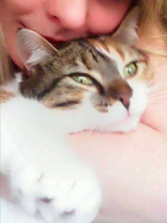 Perle a rejoint le concours — aidez-le/la à gagner de superbes lots ! carnivore, cat, comfort, domestic_short_haired_cat, ear, eyelash, felidae, fur, gesture, small_to_medium_sized_cats, snout, whiskers