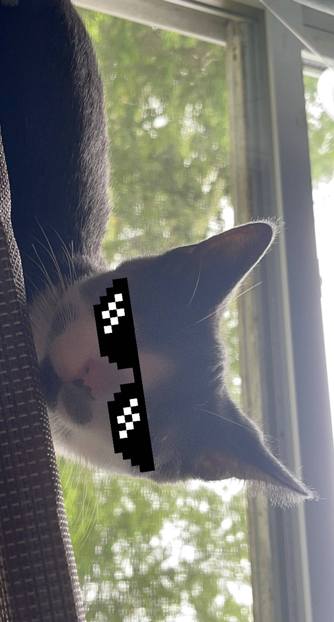 Cloud joined the competition — help win amazing prizes! art, carmine, fixture, glass, natural_material, pattern, shade, tints_and_shades, transparency