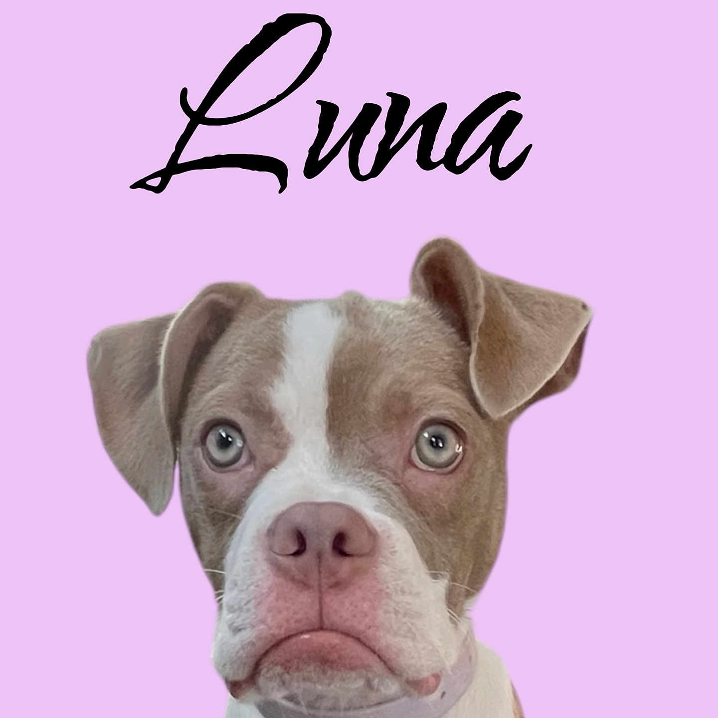 Luna