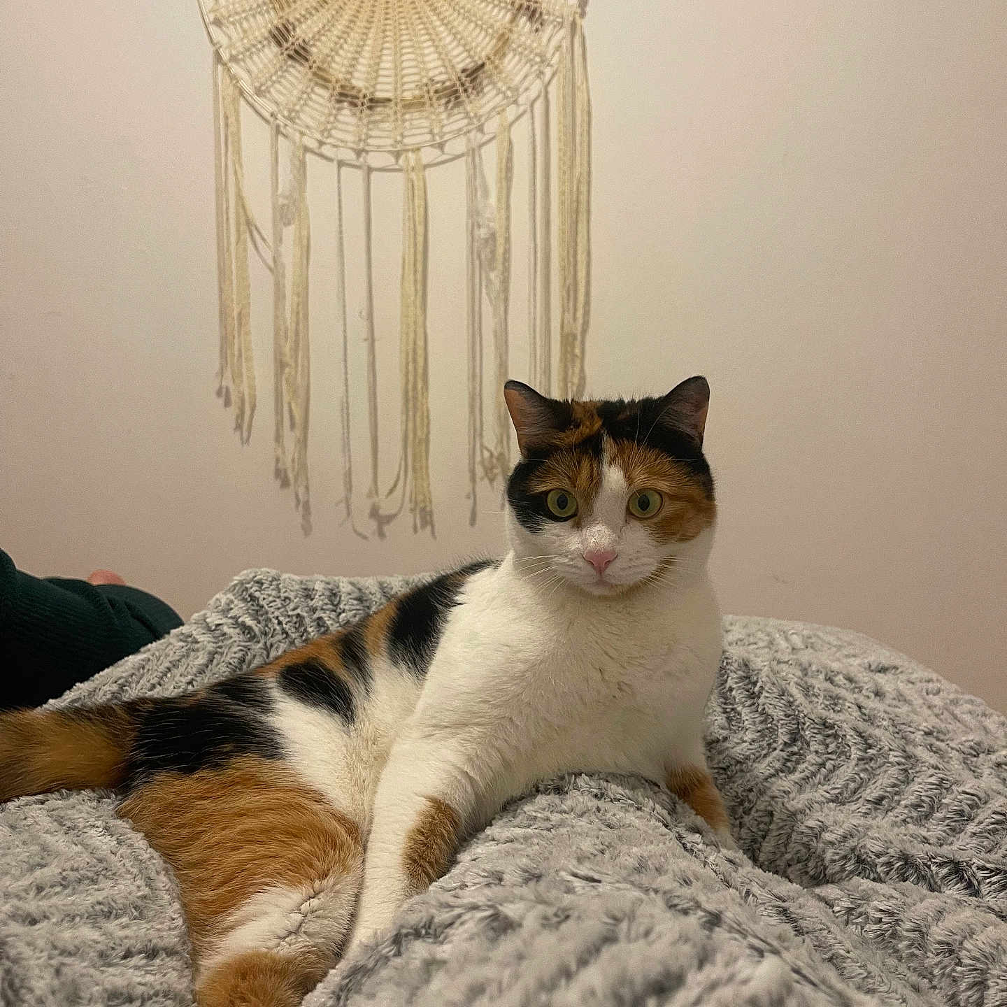 Dina