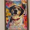 Pistache a rejoint le concours — aidez-le/la à gagner de superbes lots ! painting, dog, art, colorful, frame, collar, portrait, graffiti, hearts, wall, animal_art, text, name, decor, vibrant, expression, canine, background, mixed_media, illustration