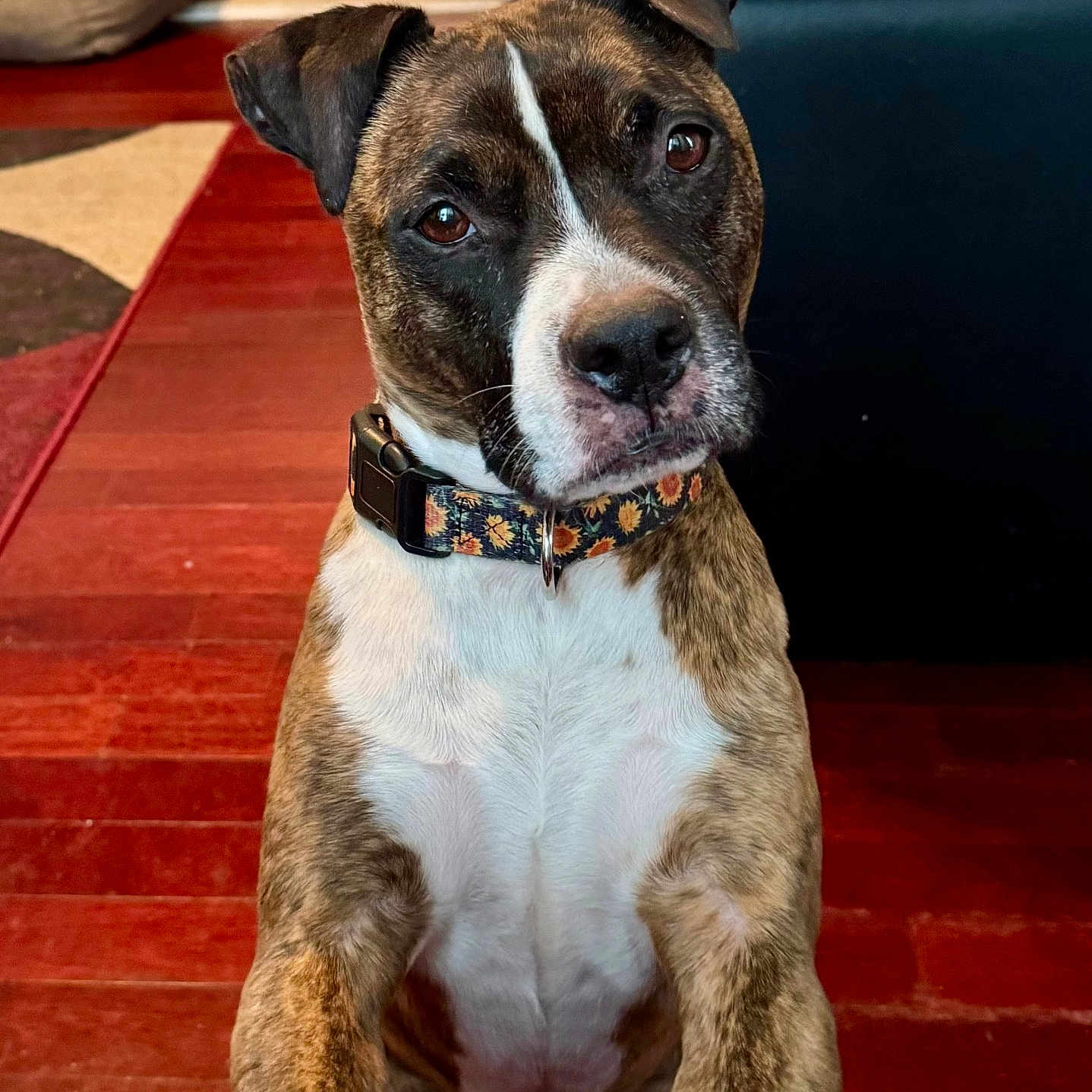 Marley