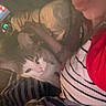 Meeko joined the competition — help win amazing prizes! animal, bedroom, blanket, casual, cat, close_up, cozy, dim_light, feline, home, human, indoor, person, pet, portrait, puckered_lips, relaxed, selfie, striped_blanket, striped_clothing