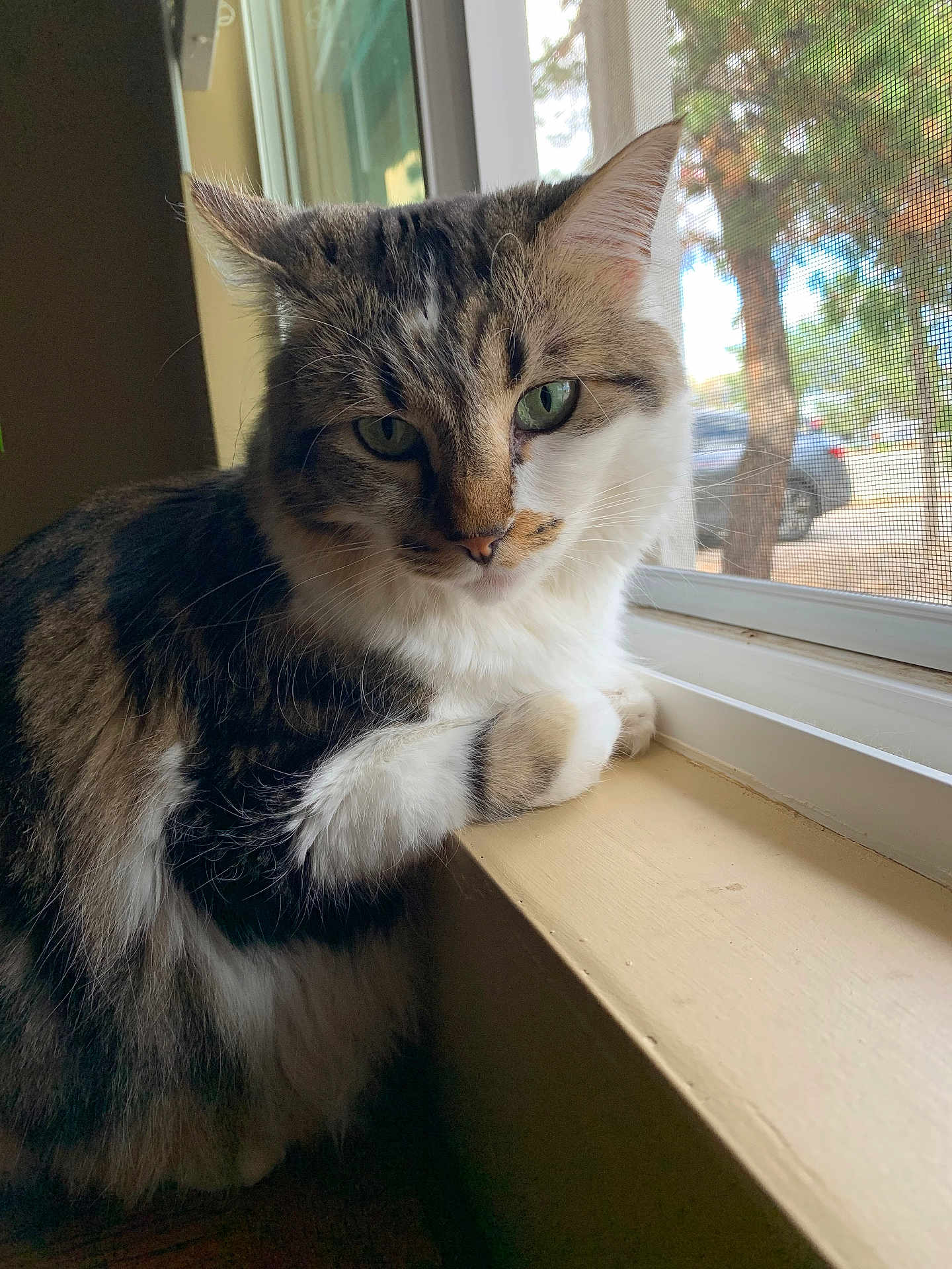 Zoey