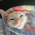 Margarita L.