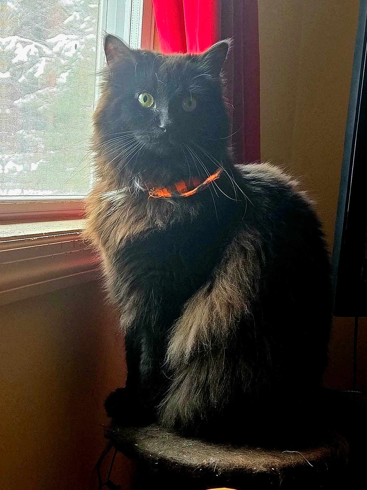 Binx