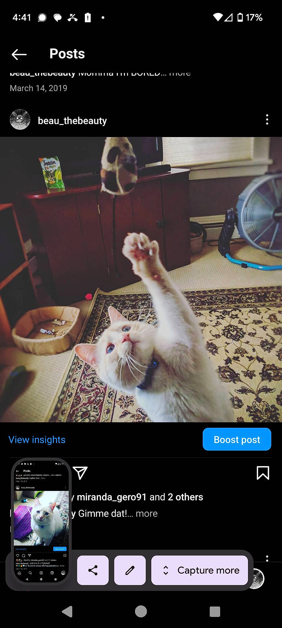 Beau is registered to the contest to win money with this photo: advertising, box, carnivore, cat, domestic_short_haired_cat, eyewear, felidae, font, fur, home_appliance, paw, photo_caption, photograph, photography, room, screenshot, small_to_medium_sized_cats, snapshot, whiskers