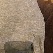 Mila participe au concours pour gagner de l'argent avec cette photo : wood