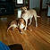Remy And Browning