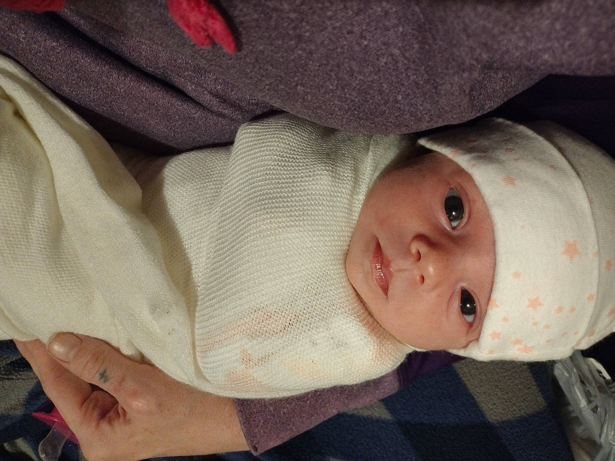 Rosaleigh is registered to the contest to win money with this photo: baby, baby_products, baby_toddler_clothing, carmine, cheek, child, chin, comfort, eyelash, headgear, headwear, linens, nail, nose, pattern, person, skin, sleeve, toddler, tree