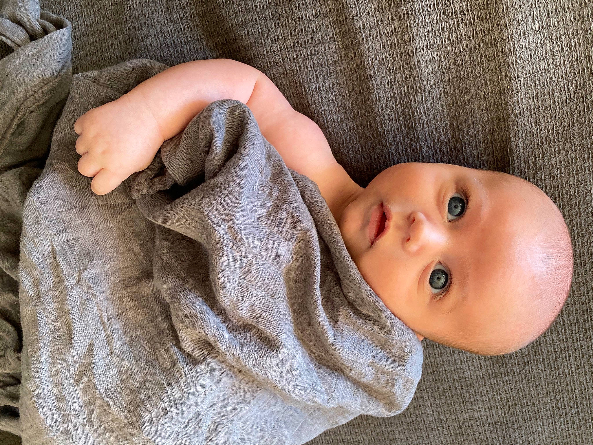Memphis Brian Rodieck joined the competition — help win amazing prizes! baby, baby_toddler_clothing, cheek, child, close_up, collar, comfort, eyelash, fur, linens, lip, nose, outerwear, person, skin, sleeve, smile, textile, toddler, wood