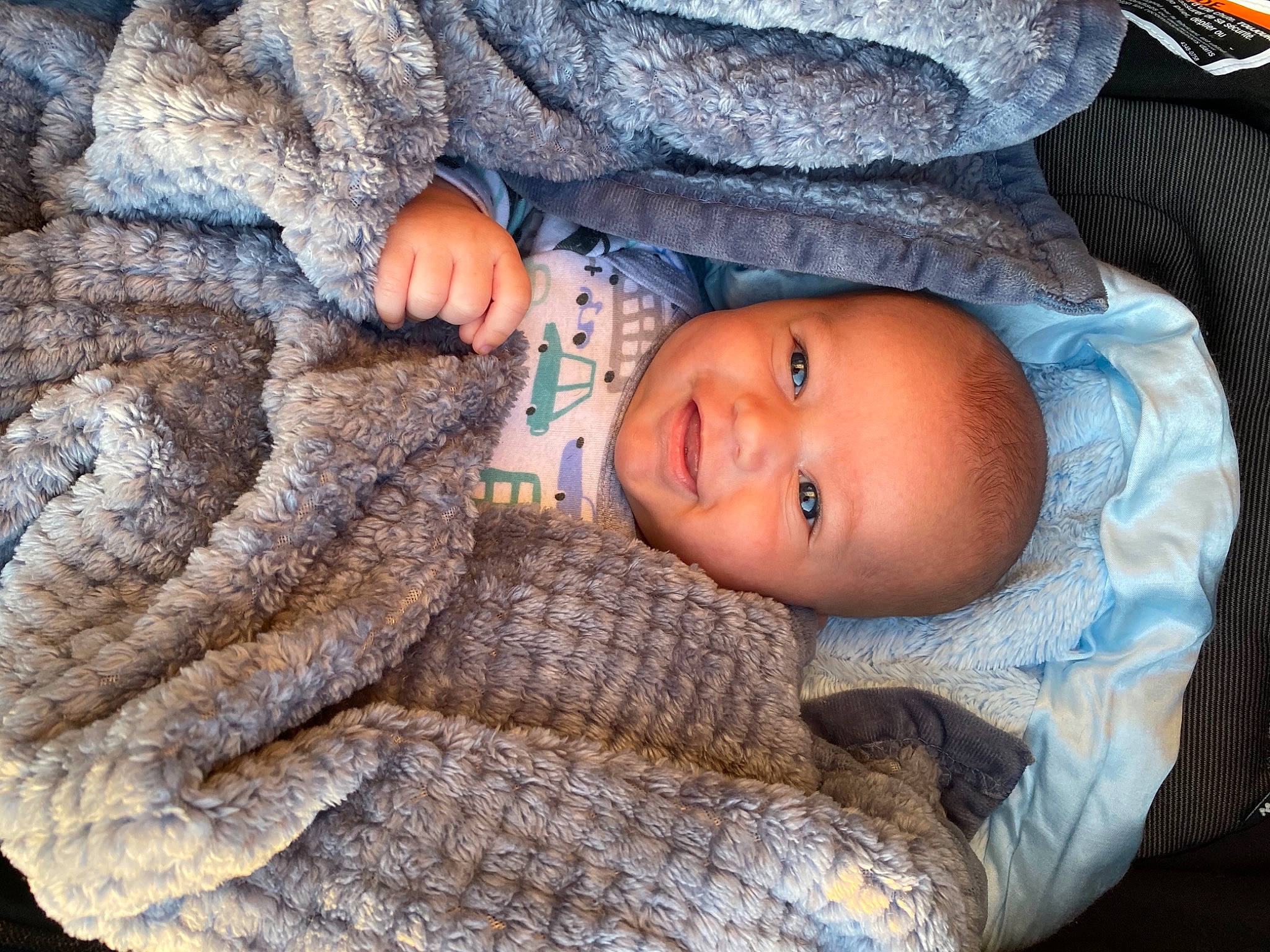 Memphis Brian Rodieck joined the competition — help win amazing prizes! azure, baby, child, comfort, eye, face, grey, happy, iris, leaf, organ, person, plant, skin, smile, textile, toddler, tree, wood, wool