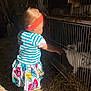 Hanaé participe au concours pour gagner de l'argent avec cette photo : toddler, child, striped_shirt, colorful_skirt, headband, barn, cage, rabbit, animal, straw, sunlight, shadow, footwear, curiosity, indoor, pet, young_child, hand, side_view, interaction