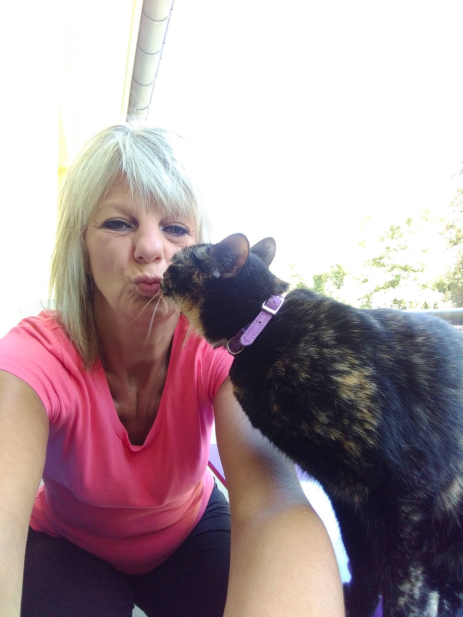 Wyddy a rejoint le concours — aidez-le/la à gagner de superbes lots ! carnivore, collar, companion_dog, dog, dog_breed, dog_collar, eyewear, fashion_accessory, fawn, felidae, fur, gesture, happy, hug, long_hair, magenta, sky, sporting_group, tail, tree