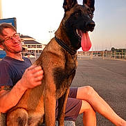 Urfa participe au concours pour gagner de l'argent avec cette photo : bench, canine, casual, dog, friendship, glasses, happy, leisure, man, marina, outdoor, pet, relaxation, shorts, smile, summer, sunset, tattoo, tongue_out, water