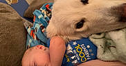 Xavier is registered to the contest to win money with this photo: baby, infant, sleeping, dog, white_dog, pet, cuddling, fluffy, cozy, blanket, couch, home, indoor, portrait, close_up, peaceful, blue_shirt, stuffed_animal, family, nap