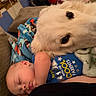 baby, infant, sleeping, dog, white_dog, pet, cuddling, fluffy, cozy, blanket, couch, home, indoor, portrait, close_up, peaceful, blue_shirt, stuffed_animal, family, nap