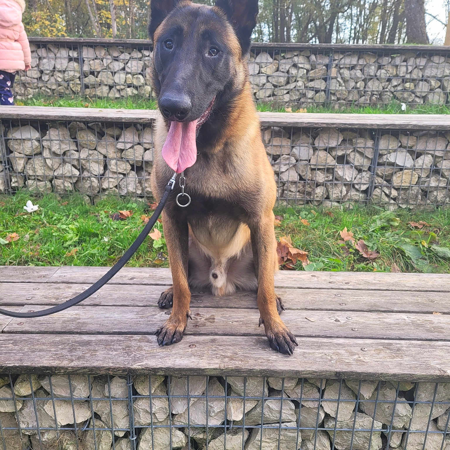 Rosko