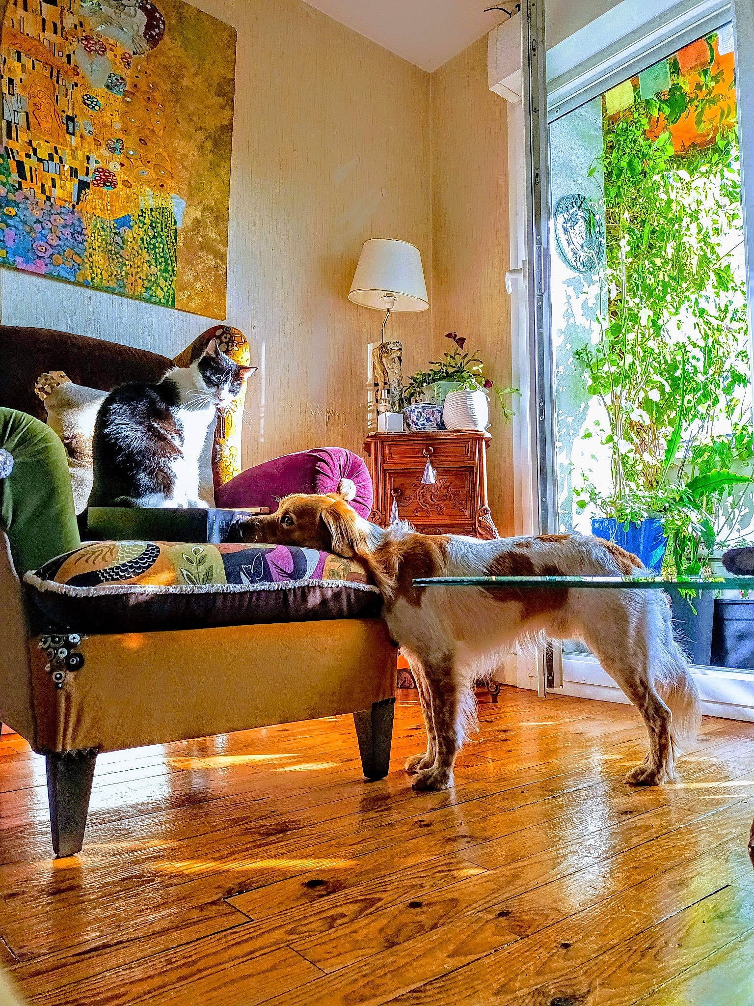 Ange participe au concours pour gagner de l'argent avec cette photo : building, carnivore, chair, comfort, companion_dog, couch, dog, door, fawn, floor, flooring, furniture, hardwood, houseplant, interior_design, living_room, plant, table, window, wood