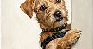 Benny is registered to the contest to win money with this photo: animal, brown_dog, canine, collar, curious, cute, dog, ears, friendly, fur, harness, head_tilt, indoor, looking, peeking, pet, portrait, scruffy, wall, whiskers