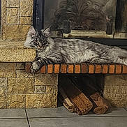 Addison participe au concours pour gagner de l'argent avec cette photo : animal, brick, cat, cozy, domestic_cat, feline, fireplace, fluffy_cat, gray_cat, home_interior, indoor, laying_down, mammal, pet, quiet, relaxed, resting, stone_wall, tile_floor, wood_logs
