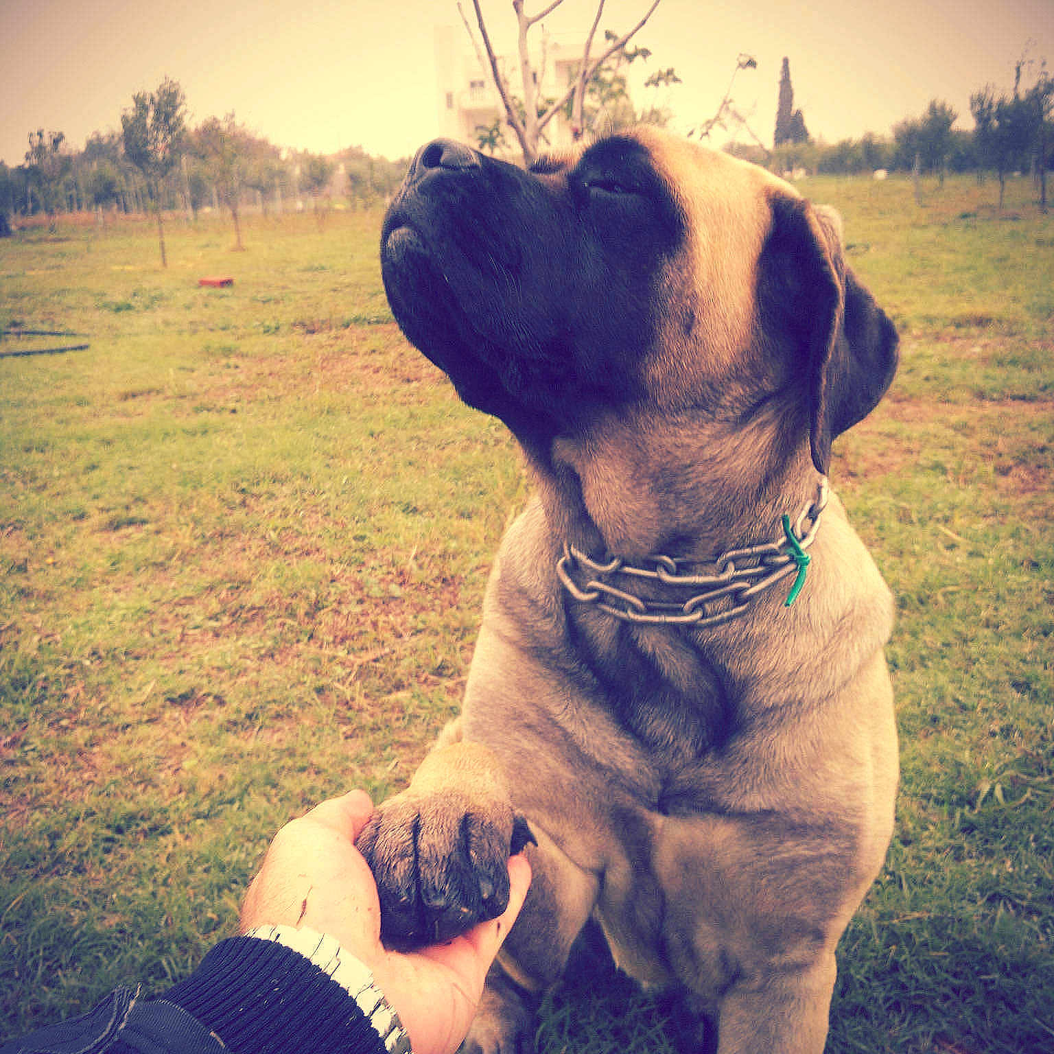 Terra is registered to the contest to win money with this photo: