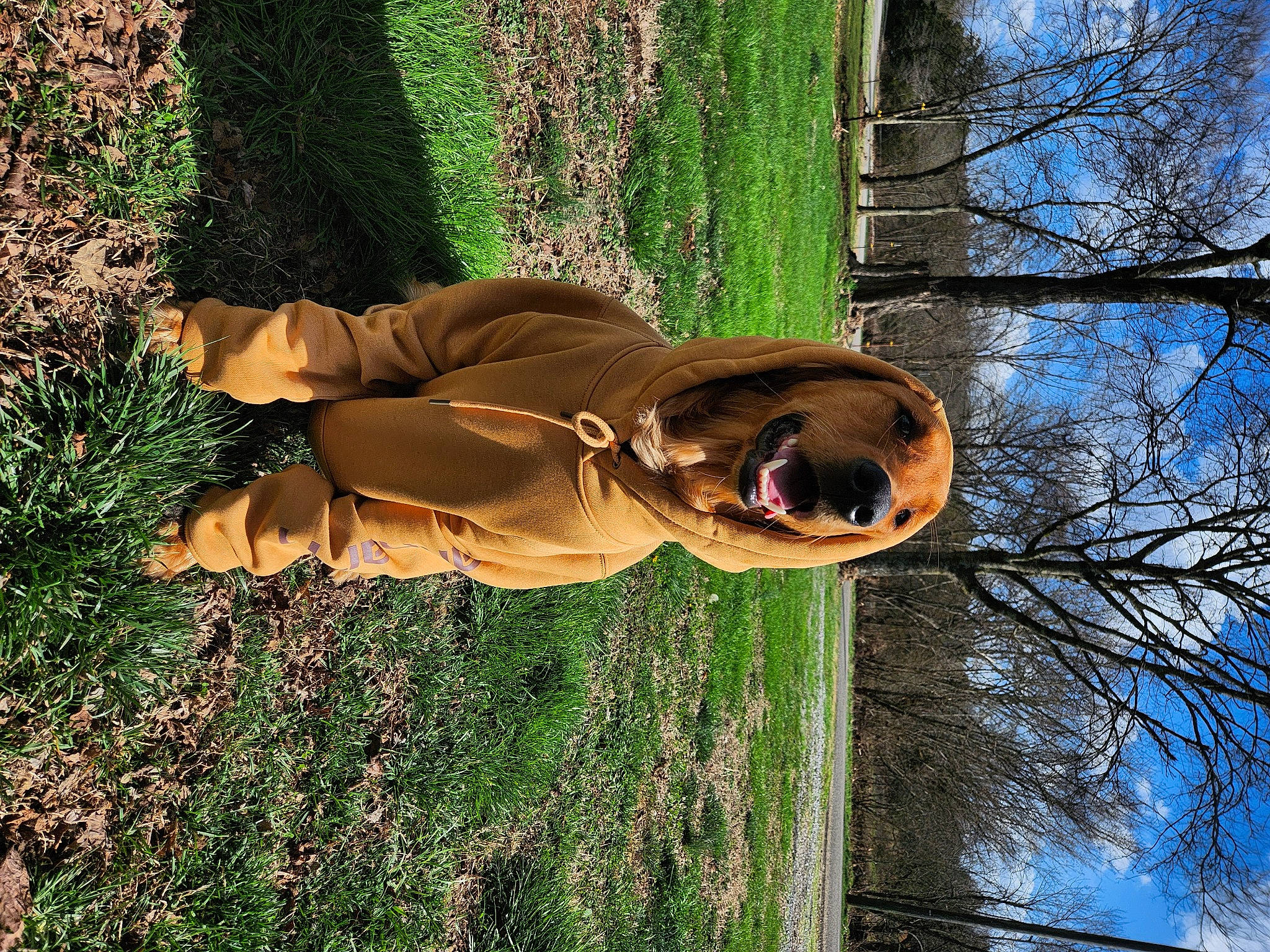 Carter joined the competition — help win amazing prizes! eyewear, fun, grass, green, happy, leisure, people_in_nature, plant, shadow, sky, smile, soil, sunglasses, sunlight, tints_and_shades, tree, trunk, twig, winter, wood