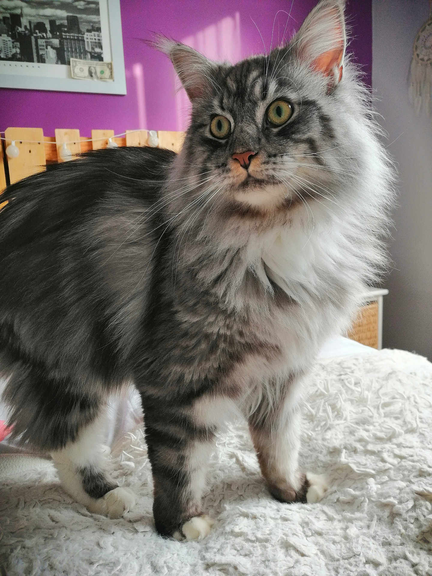 Sirius