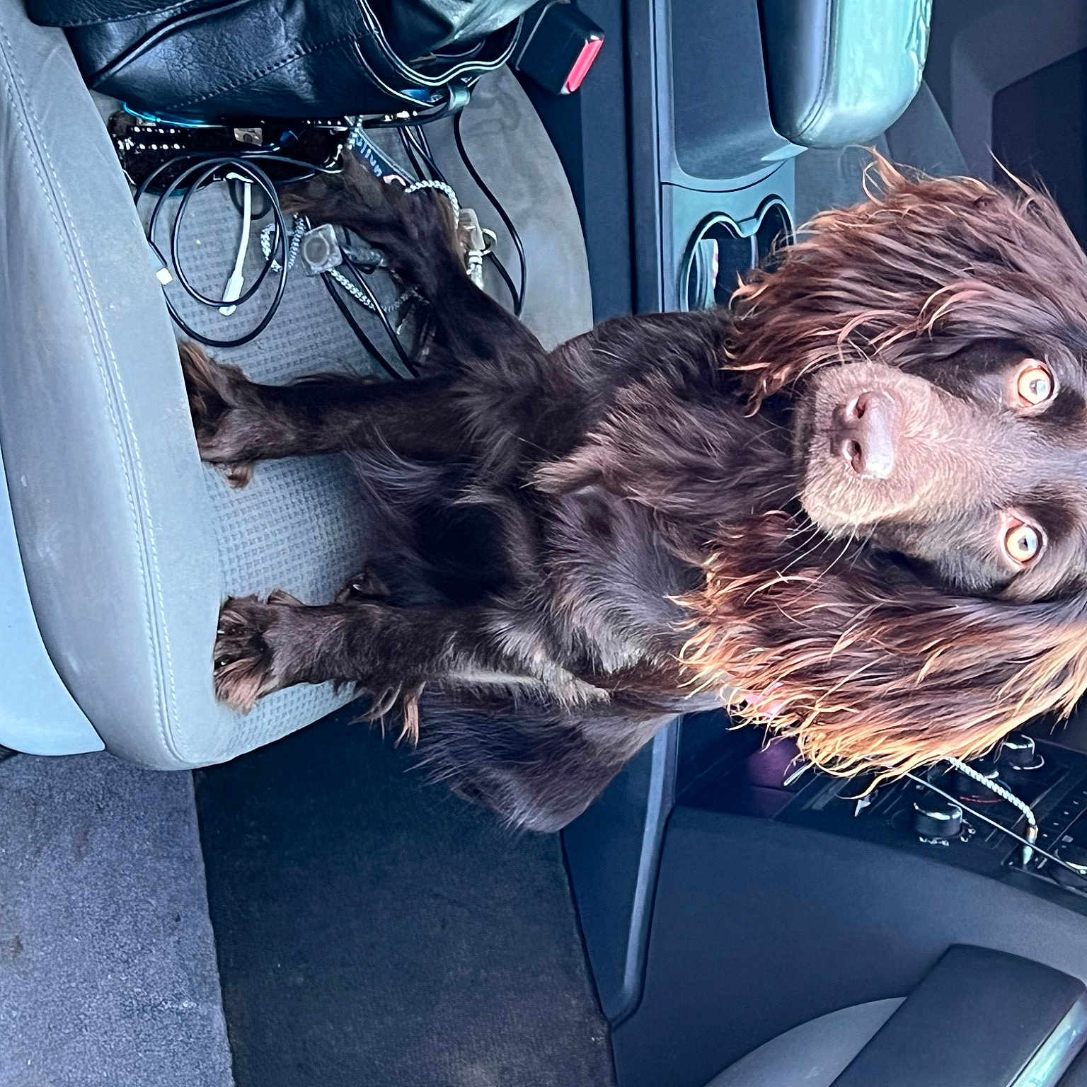 Ellie Mae