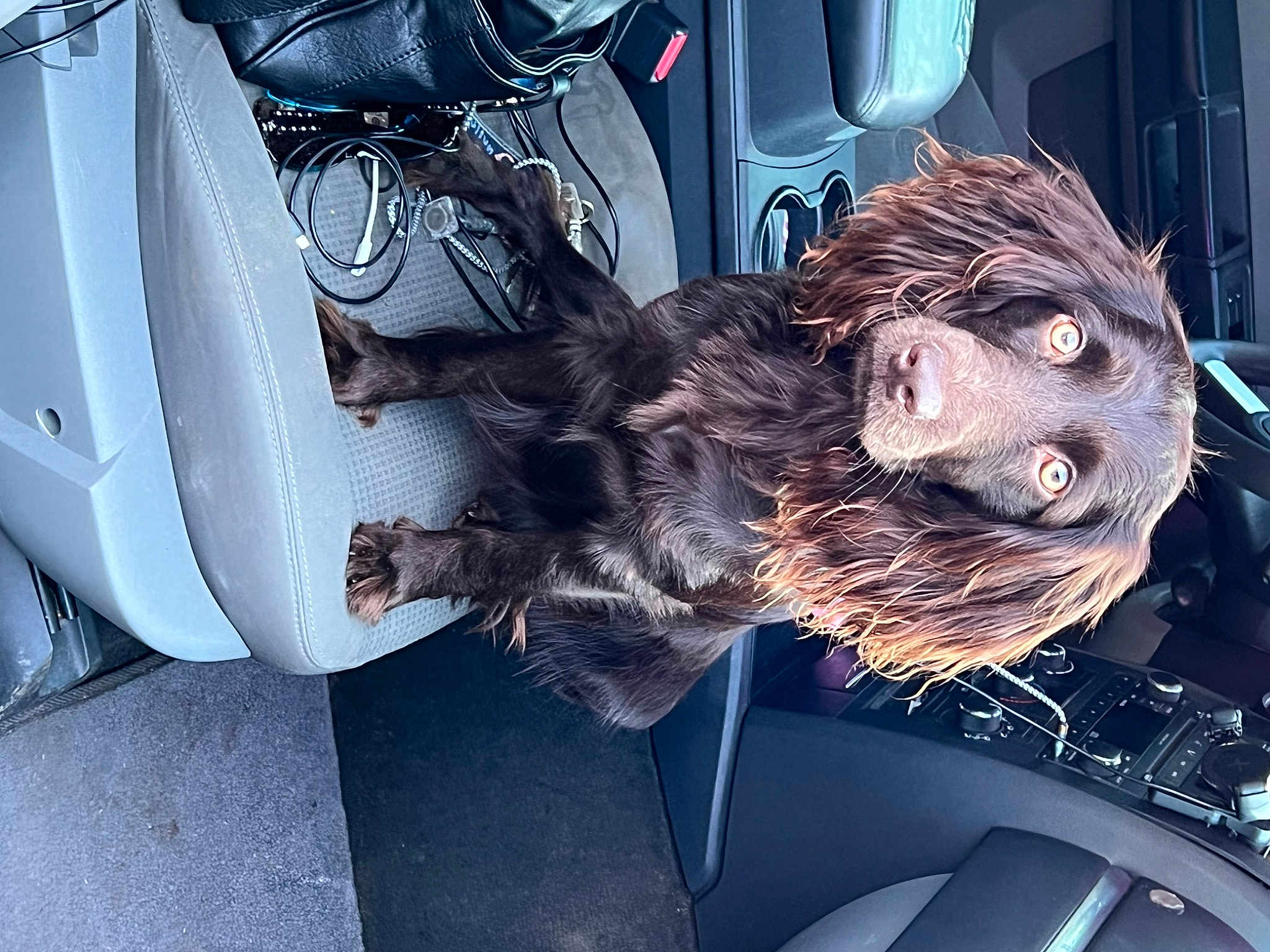 Ellie Mae