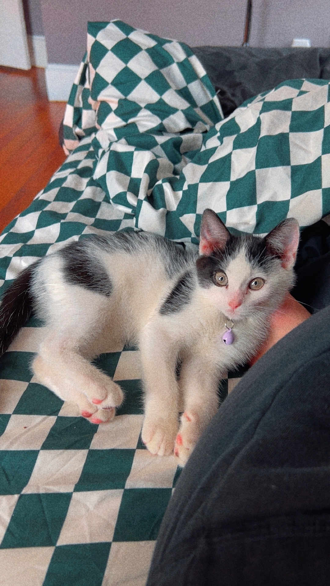 Suki