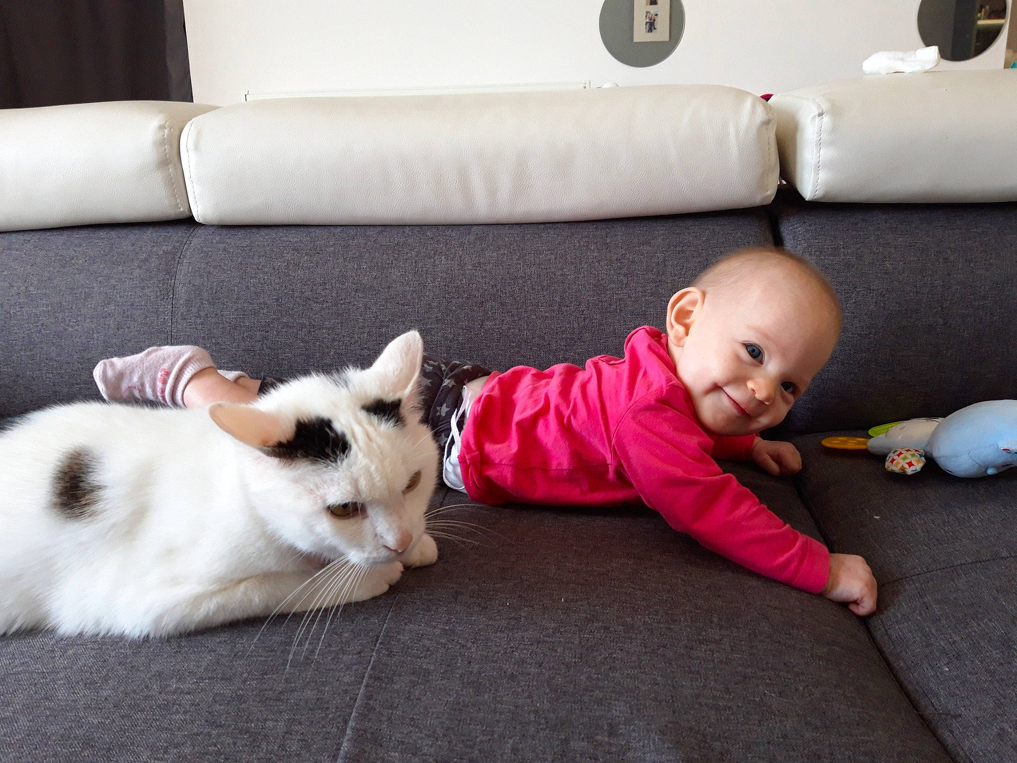 Lindsay a rejoint le concours — aidez-le/la à gagner de superbes lots ! baby, canidae, carnivore, cat, child, companion_dog, couch, dog, ear, felidae, french_bulldog, head, leg, person, play, puppy_love, rabbit, rabbits_and_hares, skin, small_to_medium_sized_cats